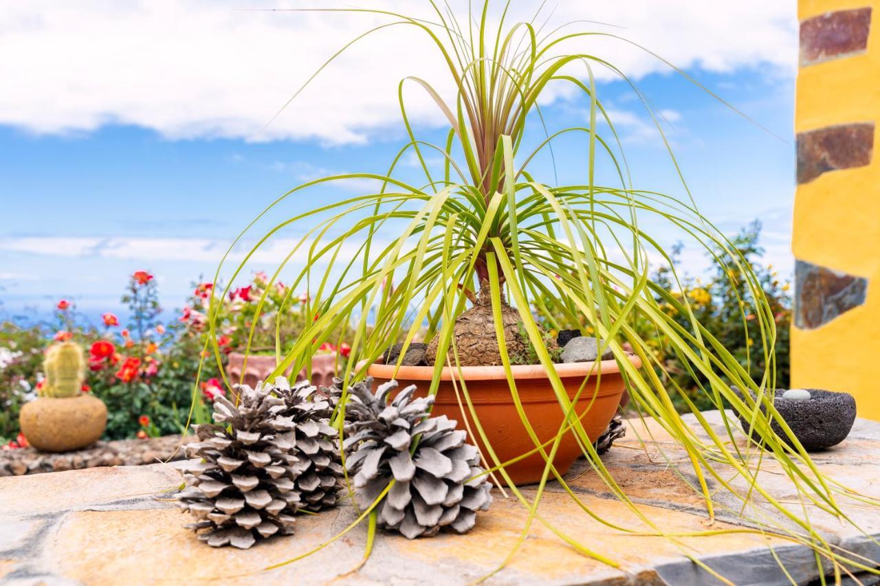 El Palmeral Tinizara Bagian luar foto