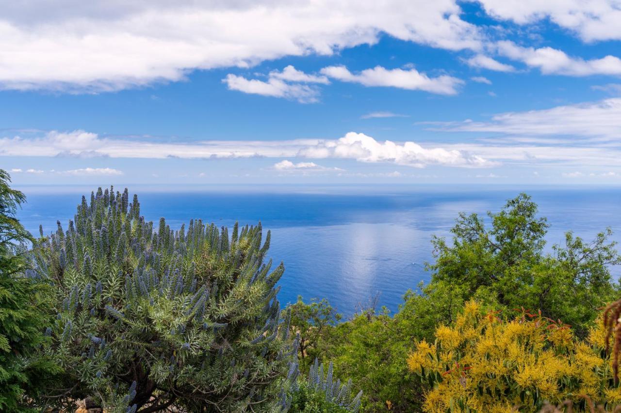 El Palmeral Tinizara Bagian luar foto