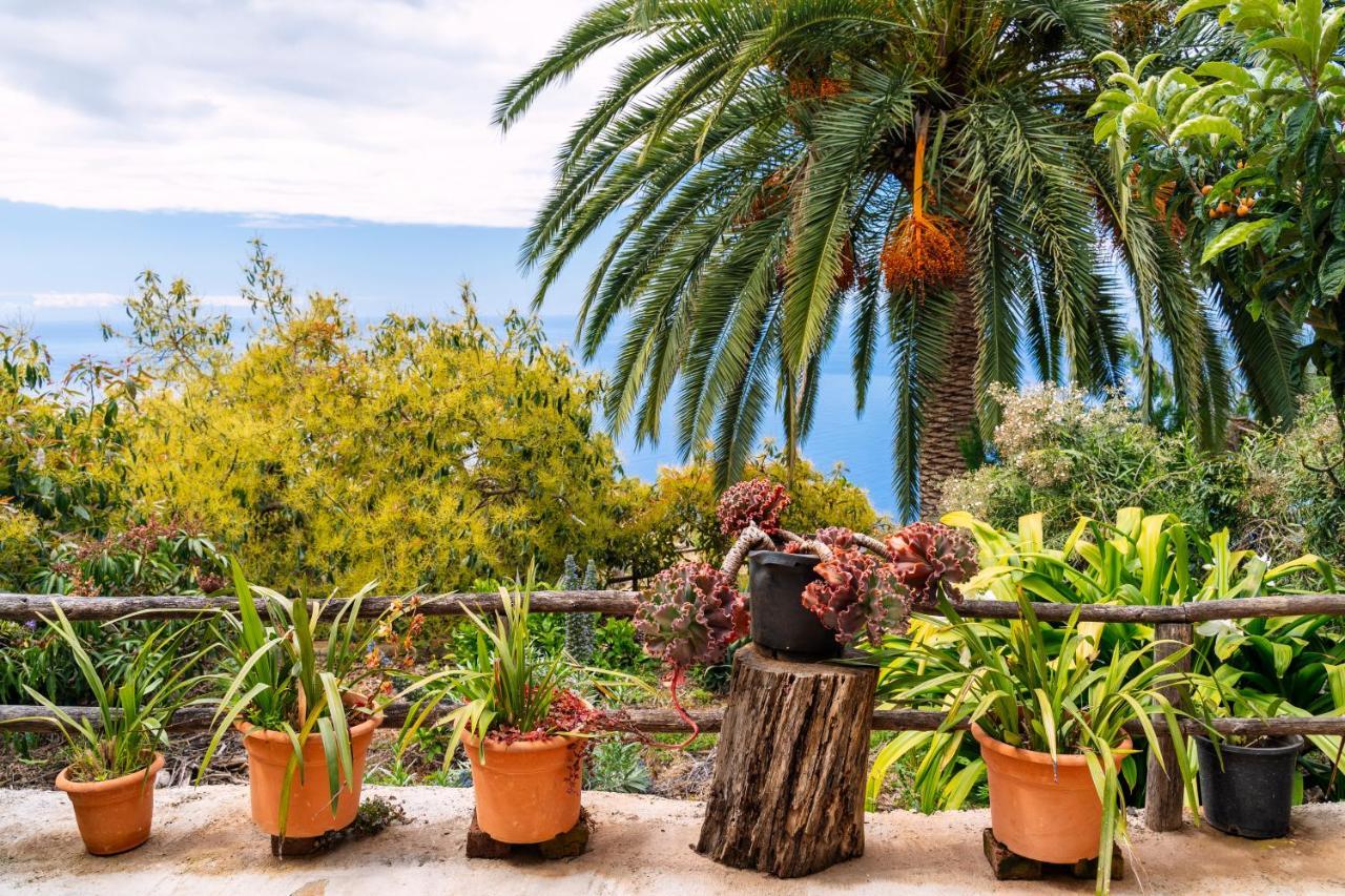 El Palmeral Tinizara Bagian luar foto